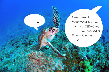 _MG_7500.JPG