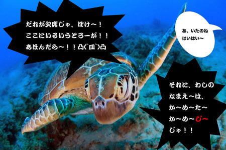 _MG_7610.JPG