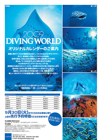 2011年のカレンダー