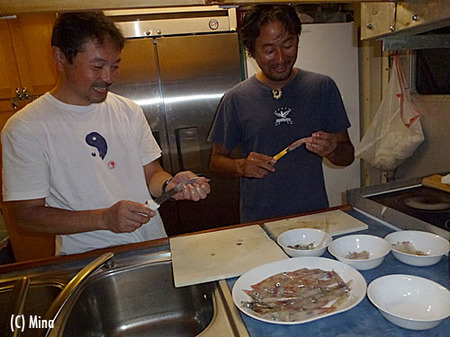 P1000246.jpg