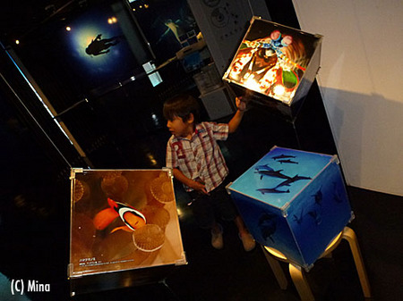 P1010037.JPG