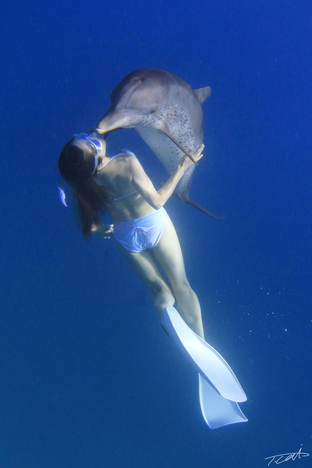 Dolphin Kiss.