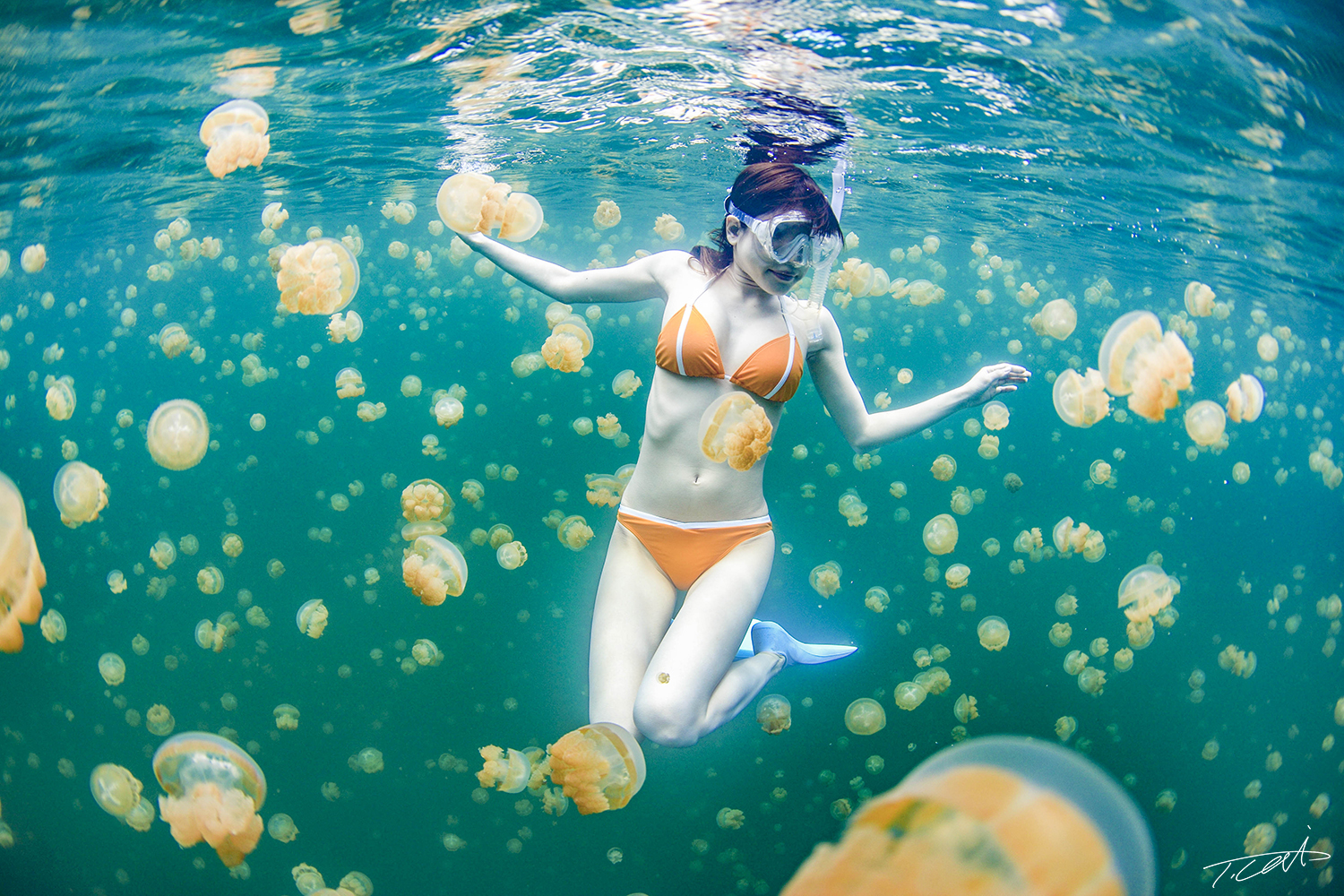Jellyfish lake in Palau.